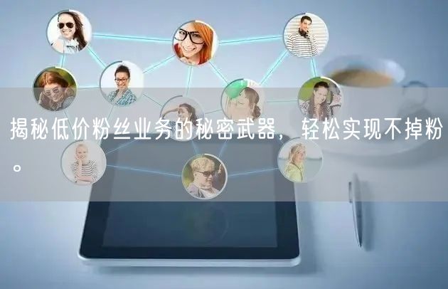 揭秘低价粉丝业务的秘密武器，轻松实现不掉粉。