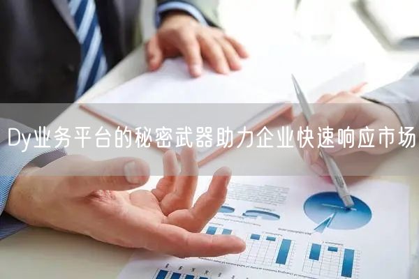 Dy业务平台的秘密武器助力企业快速响应市场