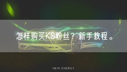 怎样购买KS粉丝？新手教程。