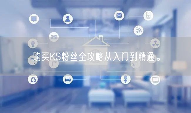 购买KS粉丝全攻略从入门到精通。