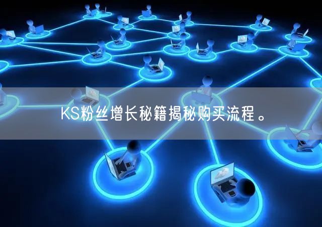 KS粉丝增长秘籍揭秘购买流程。