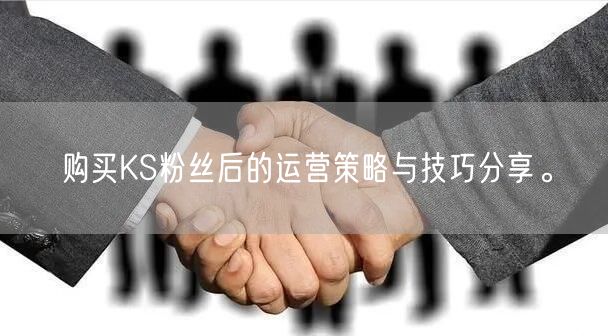 购买KS粉丝后的运营策略与技巧分享。