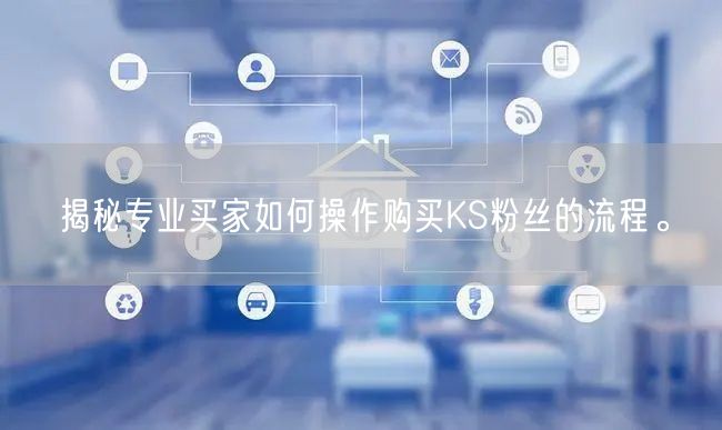 揭秘专业买家如何操作购买KS粉丝的流程。