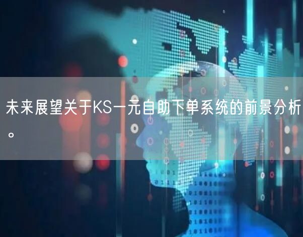未来展望关于KS一元自助下单系统的前景分析。
