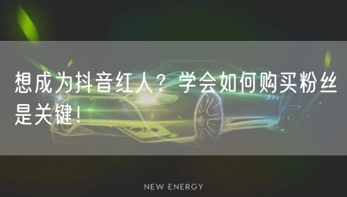 想成为抖音红人？学会如何购买粉丝是关键！